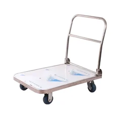 Big Apple 500 Kg Load Capacity Stainless Steel 120 x 65 cm Platform Trolley (WH1-500-SS-PF)