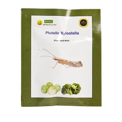 WAVAR Plutella Xylostella Lure (Diamond Back Moth) | 2 Lures  Per Packet(Quantity-5 packets)