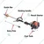 Golf Ultra Telescopic Pole Pruner 2 Stroke and 52 cc with 3.5 meter Adjustable Pole