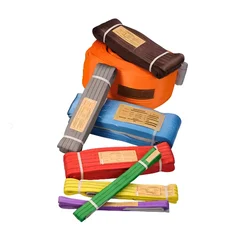 1 Ton Load Capacity Polyester Web Sling (Size-1 meter)