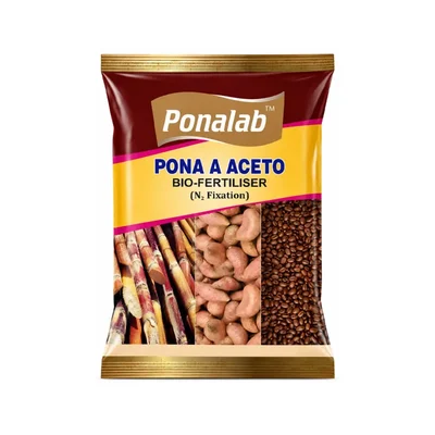 Pona Aceto Powder (5 kg) Bio-Fertilizer Acetobacter spp. (5x10^7 CFU/g) PGPR Nitrogen Fixer for Sugar-Rich Crops