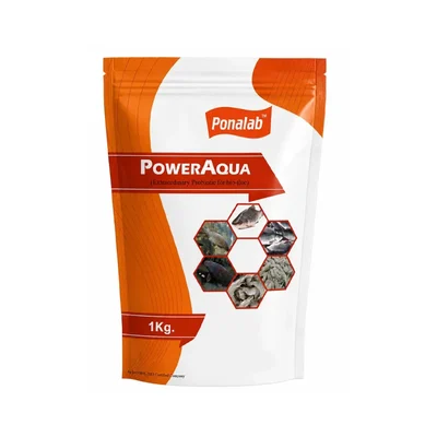 PONA AQUA POWER 1 kg Aquatic Probiotic Consortium | Beneficial Waste-Degrading Microorganisms for Fish & Shrimp Culture