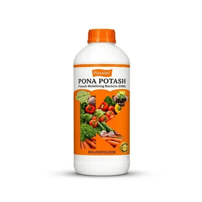 Pona Potash 5L Bio-Fertilizer (1x10^8 CFU/ml) Potassium Mobilizing Bacteria for Better Nutrient Uptake & Crop Growth