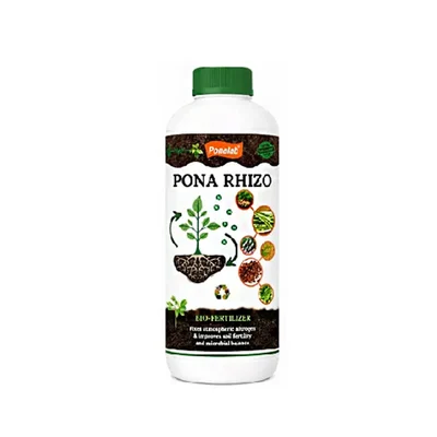 PONARHIZO Liquid (500ml) | Rhizobium spp. 1 × 10⁸ CFU/ml Symbiotic Nitrogen-Fixing Bio-Fertilizer for Leguminous Crops