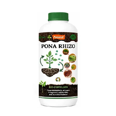 PONARHIZO (5ltr) Liquid Bio-Fertilizer CFU 1x10^8 CFU/ml Rhizobium spp. Fixer for Groundnut, Soybean, & Legume Crops