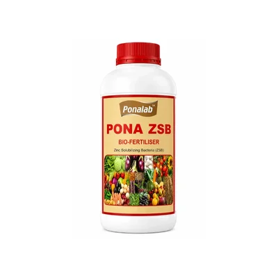 Pona ZSB Liquid 1L Bio-Fertilizer 1×10⁸ CFU/ml Zinc Solubilizing Bacteria for Agriculture Use & Root Growth Enhancer