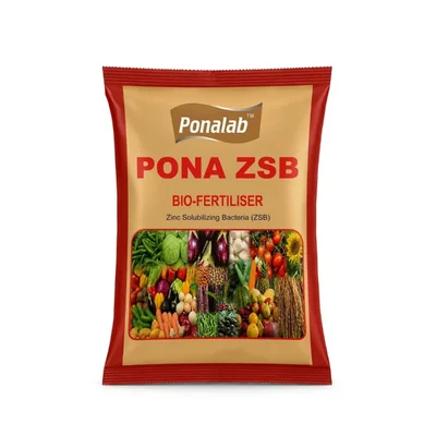 Pona ZSB Powder (1 Kg) Bio-Fertilizer 5×10⁷ CFU/g Zinc Solubilizing Bacteria for Agriculture Use with Natural Chlorophy