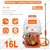 Neptune NF-608, 26 CC 2 Stroke 16 L Backpack Power Sprayer for Agricultural and Garden use