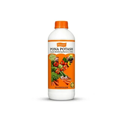 Pona Potash (250ml) Bio-Fertilizer 1x10^8 CFU/ml Potassium Mobilizing Bacteria for Soil Potassium Solubilization
