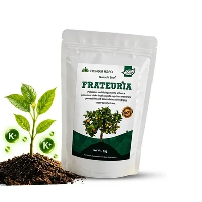 Pioneer Agro Frateuria Potassium Solubilizing Bacteria 1 Kg Biofertilizer for Agriculture, Gardening