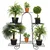 Heavy Duty 6-Tier Vertical Plant Holder Stand, Indoor Planter Display Multiple Pots Shelf For Indoor & Outdoor Decor(Color-White)