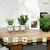 Ecofynd 5 Inch White Metal Planter 3 Pot Set with Stand Modern Style Planter Set for Home Decoration