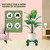 Heavy Duty Green Square Metal Rolling Plant Stand With Wheels for Home and Garden Decoration(Pack-Pack of 2)