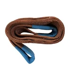 Polystud 6 Ton 10 Meter Duplex Polyester Web Sling, Width 150 mm