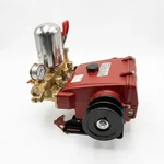 Hummer (CS-H75) HTP 75 Triplex Piston Power Sprayer Pump with 4-Inch Pulley for Commercial Agriculture and Car Washing