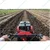 Aashna 7HP Petrol Front Rotary Power Weeder - 8 Inch 4 Stroke Agriculture Cultivator