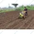 Kisankraft KK-IC-410P 7.8 HP, Petrol Power Weeder / Intercultivator, 270cc Engine For Agriculture