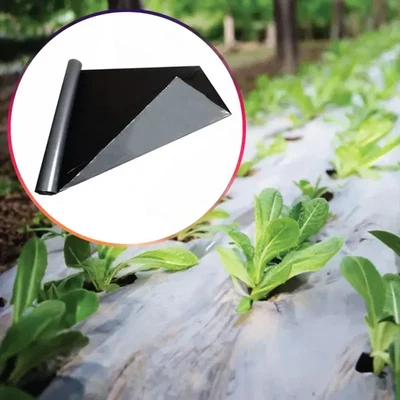 Tandhan 25 Micron Silver and Black Mulching Sheet (1m x 400m) for Multi-Season Crop Protection