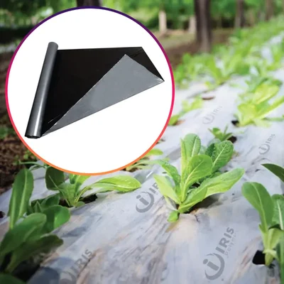 Tandhan Silver & Black Mulching Sheet 25 Micron (1.2m x 400m) for Weed Control, Pest Repellency & Maximizing Crop Yield