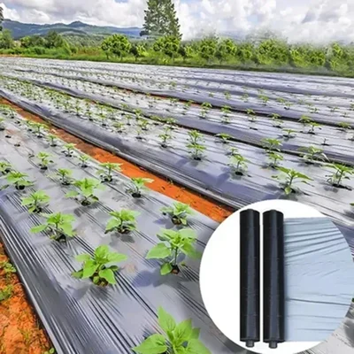 Anil Mulching Film 30 Micron 4ft x 400m Weed Control Film UV Stabilized Silver Black Agriculture Sheet