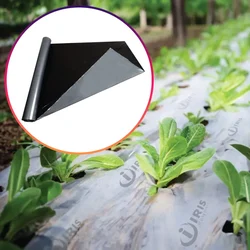 Iris Polymers 2 pieces Premium Quality 1.2 x 600 meter Silver and Black Mulching Sheet for Agriculture, Nursery(Thickness-20 micron)