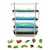 Pindfresh Hydroponics Kit For Indoor & Outdoor Tashi Home Set-Up With Grow Lights For Growing Leafy Greens (Premium)