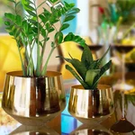 Ecofynd 5 inches Eion Jr Metal Plant Pot, Indoor Decorative Modern for Living Room Bedroom Interior, Pack of 2 (Gold)