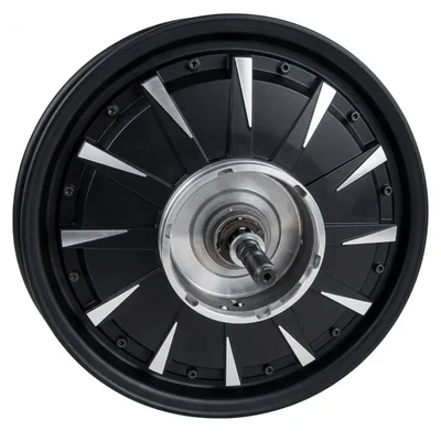 Premium Quality 12'' 1200W E-Scooter Hub Motor, Disc Brake High-Efficiency, Praise Pro Compatible