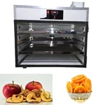Premium Quality 3 MS Tray Food Dryer , 500 Watts