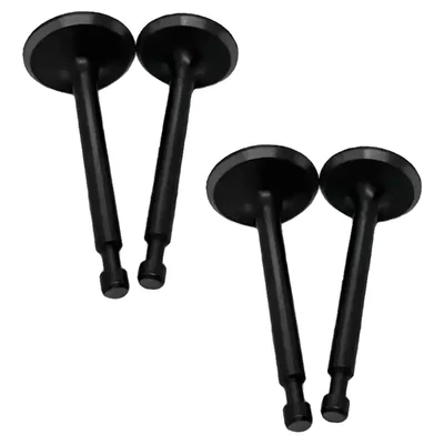 2 Set of Premium Quality Valve for 170F Recoil Start Engines, suitable for Water Pumps & Power Weeders