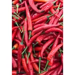GEBDINSH High Germination & Heavy Yield Red Chilli Seeds for Home & Kitchen Gardening