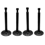 Premium Quality Valve Set for 168F Recoil Start Engines, suitable for Water Pumps (Set of 2)