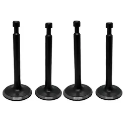 Premium Quality Valve Set for 168F Recoil Start Engines, suitable for Water Pumps (Set of 2)