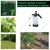 Premium 2L Garden Sprayer with Safety Valve and Nozzle for Watering Plants and Pesticides Spraying