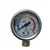 Pressure Meter for 45 Bar HTP Sprayer Pump