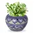 Ecofynd Designer Ceramic Planter Pot with Printed Leaf-like Motifs | Used for Home and Garden Decoration 