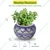 Ecofynd Designer Ceramic Planter Pot with Printed Leaf-like Motifs | Used for Home and Garden Decoration 
