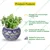 Ecofynd Designer Ceramic Planter Pot with Printed Leaf-like Motifs | Used for Home and Garden Decoration 