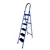 ProHome 6 Step Vetro Foldable Steel Ladder, 150kg Capacity with Anti Slip Shoe Steel Ladder (With Platform) - 5 Years Warranty