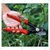 Premium Quality Plant Cutter/Pruning Shear, Garden Tools for Home, Gardening Scissors (Pack of 2 Pieces)