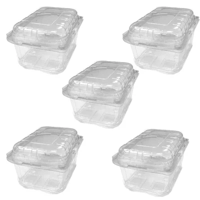 Fruit PET 500gm Punnet Box for Fruits Packaging and Exporting(Pack-200 pcs)
