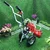 Heavy Duty Petrol Grass Cutter with 2 Stroke 52CC Engine with Round Tiller Attachment