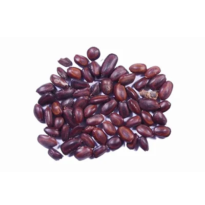 Samanea Saman | Rain Tree seed 100g
