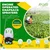 Ralli Ezeemax-2S, 2 Stroke 26 CC 20L High Pressure Petrol Knapsack Power Sprayer for Gardening and Agriculture use