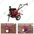 Ralli RRT135D, 9HP Diesel Power Tiller With 418cc 4Stroke Engine & PTO Shaft