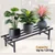 Heavy Duty Rectangular Plant Stand, Anti-Rust Metal Shelf Flower Pot Holder, For Balcony & Living Room Home Decor(Pack-Pack of 1)