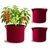 Shiv Biotech Red Round Reusable Geo Fabric Grow Bag (15 x 15 Inch) | Suitable for Gardening and Nursery (Pack of 3)