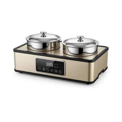 RH001-TG Digital Gold 600W Dual 5L Rectangular Soup Tureen Buffet Warmer for Catering Service