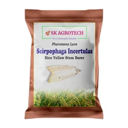 SK Agrotech Rice Yellow Stem Borer Lure | Scirpophaga Incertulas(Quantity-5 packets)