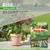 Zeal Biologicals Rise Up For Enhanced Root & Shoot Growth | 100 gm